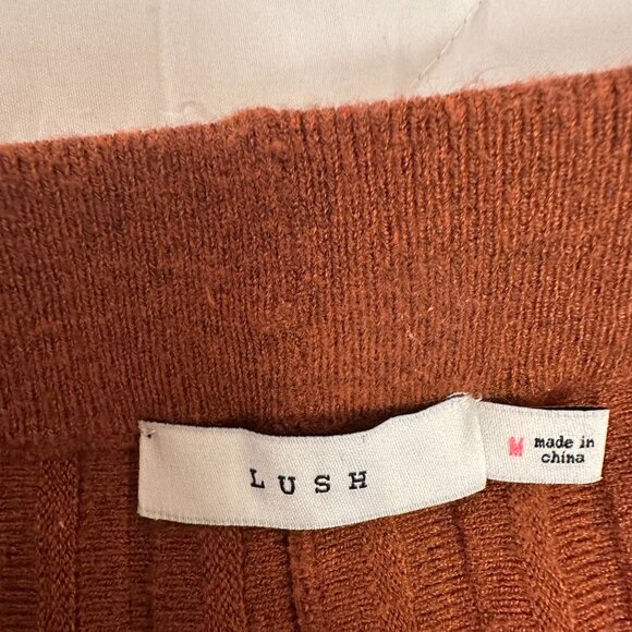 Lush rust colored skirt. - Picture 2 of 3